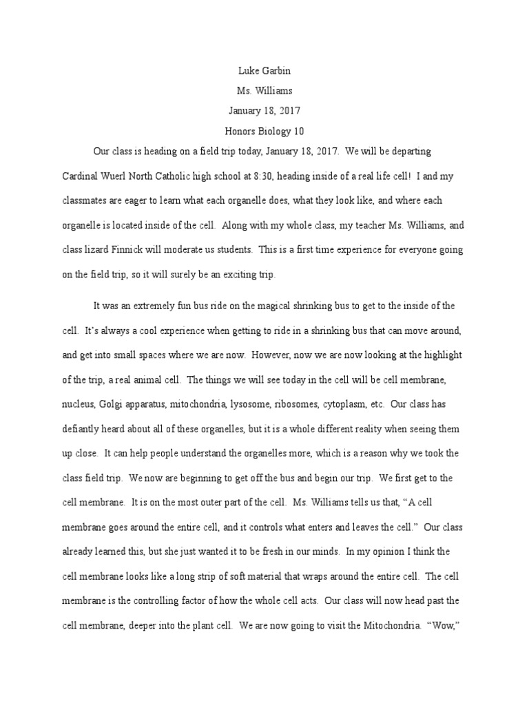 My school essay image