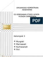 Presentasi Ormas