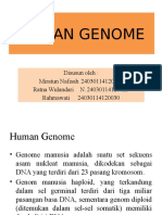 Kelompok 1 - Human Genome