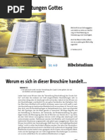 Lebten Adam Und Eva Oder Die Dinosaurier Zuerst Wissenschaft
