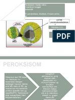 PEROKSISOM FUNGSI DAN PENTINGNYA