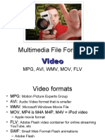 Multimedia File Formats: Video