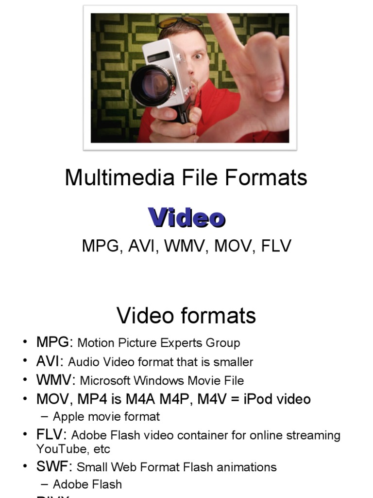 Overview of Video File Formats | PDF