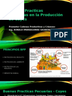 Buenas Practicas Pecuarias en La Producción de Cuyes