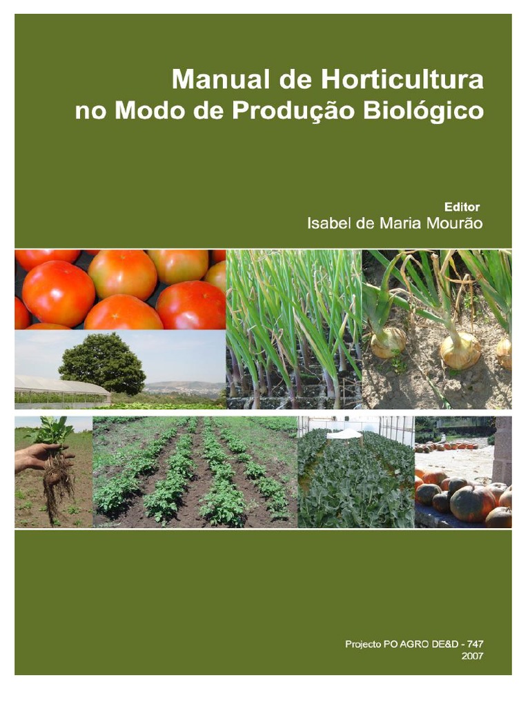 Como Montar Uma Hidroponia Sebrae