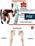 Osteologia Miembro Superior