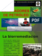 Biorremediación petróleo bacterias Pseudomonas