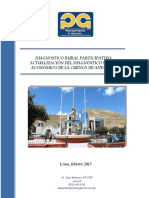 DIAGNOSTICO RURAL PARTICIPATIVO - ANTAUTA - febrero 2015.pdf