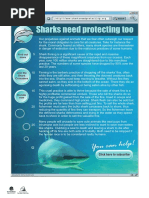 Naplan Lit Sample Protectsharks