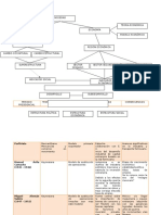 Organizador Grafico