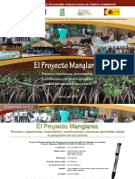 Sistematizacion Proyecto Manglares