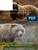 Grizzly Bear Presentation