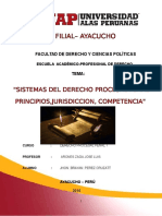 DERECHO PROCESAL.docx
