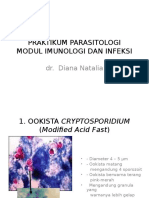 22. K.+pengantar+praktikum+parasit+infeksi+imun+2013.pptx