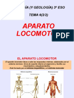 Biología 3ºESO: Aparato Locomotor