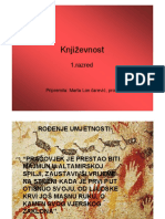 Knjizevnost1.pdf