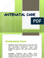 Antenatal Care