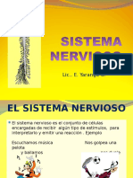 El Sistema Nervioso Sexto Grado