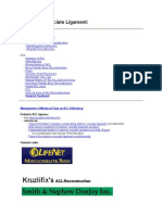 Anterior Cruciate Ligament