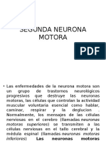 Segunda Neurona Motora