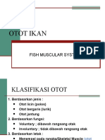 5 Otot-Ikan