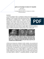 Ressonância Magnética em Neurologia de Animais