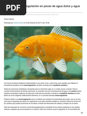 Depeces Com Que Es La Osmorregulacion En Peces De Agua Dulce Y