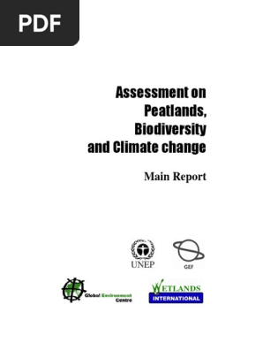 Assessment Peatland  PDF  Wetland  Peat