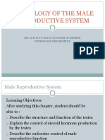 Physiology of The Male Reproductive System Lecture