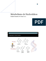 Metabolismo de nucleotídeos: purinas, pirimidinas e vias