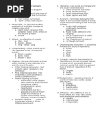 Word Formation Processes