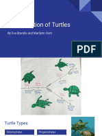 Turtle Evolution