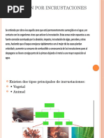 Corrosion Por Incrustaciones Marinas