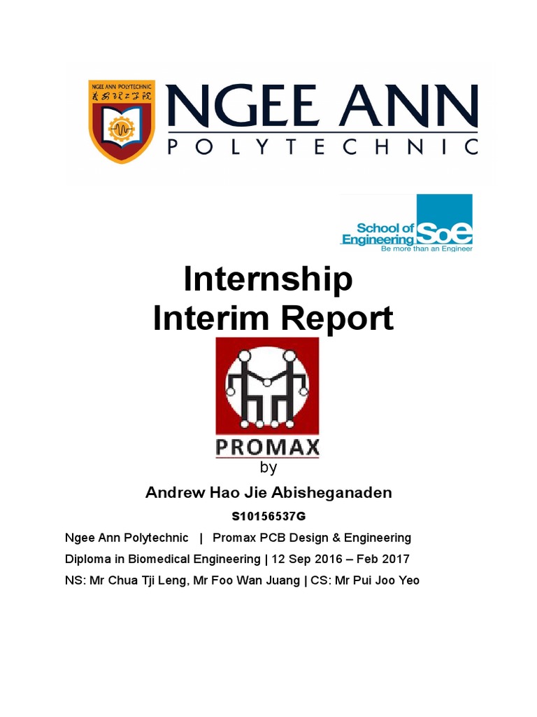 Ngee Ann Polytechnic Internship Report | PDF