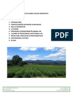 Cultivarea_salciei_energetice_KWG_v3_site.pdf