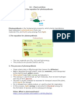 04 Plant Nutrition Biology Notes IGCSE 2014.pdf