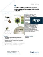 Zika Virus Depletes Neural Progenitors in Human Cerebral Organoids Through Activation of The Innate Immune Receptor TLR3