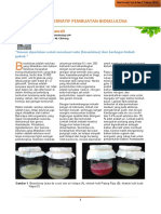 Bahan Baku Alternatif Pembuatan Bioselulosa PDF
