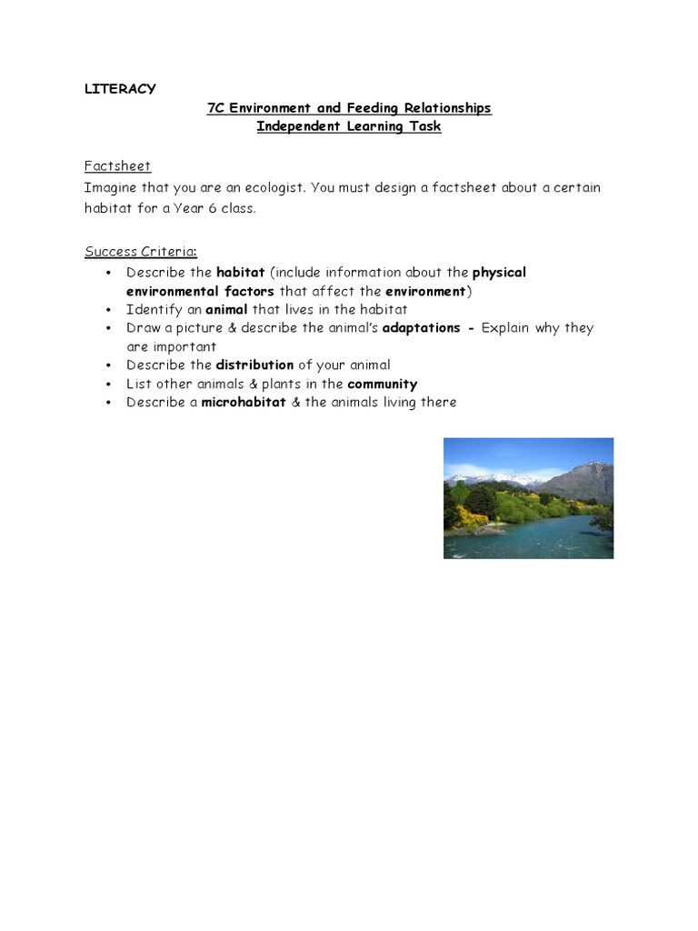 7C Environment Feeding Relationships | PDF