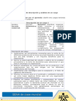 Formato de Descripcion y Analisis de Un Cargo