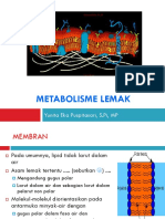 Metabolisme-lemak.pdf
