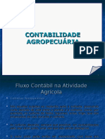 Contabilidade Agropecuária Aula 2