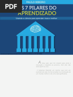----7 Pilares do Aprendizado.pdf