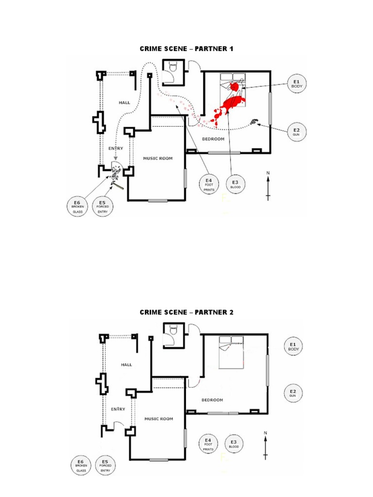 Murder Scene Investigation Guide | PDF | Mystery, Thriller & Crime Fiction