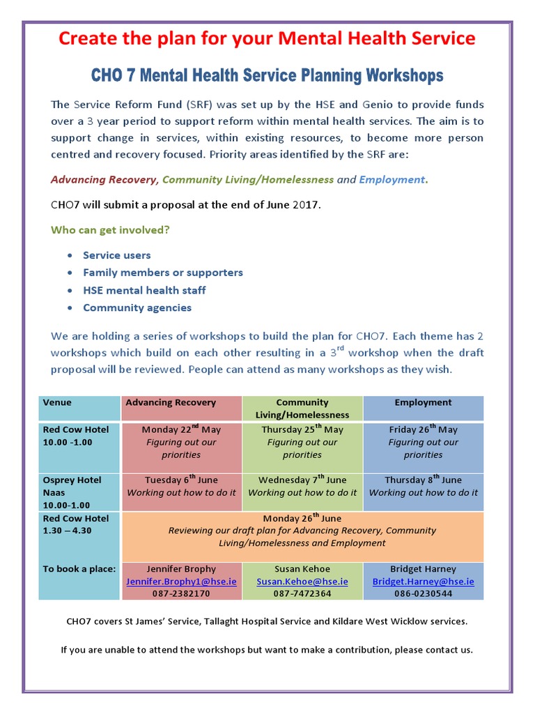 sample mental health business plan pdf