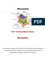 Mitocôndrias e Respiraçao Celular