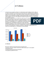 Plan de Afaceri Cafenea.doc