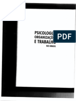 Psicologia, Organizações e Trabalho No Brasil