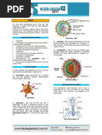 Material 20130916194008teoriavirus