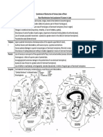 Syndromes of Destruction of Various Lobes of Brain